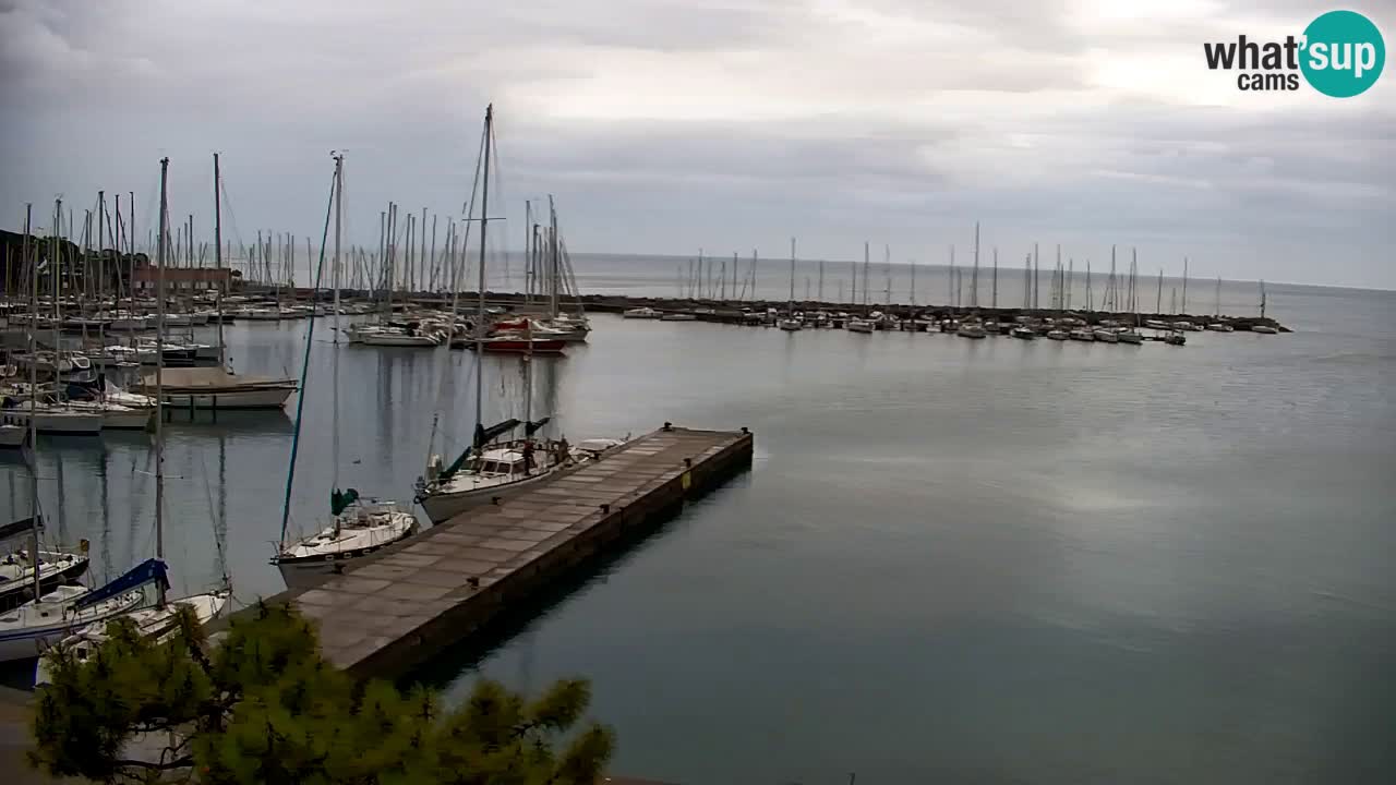 Webcam Sistiana – Pogled na marinu i zaljev