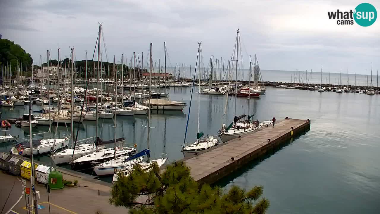 Webcam Sistiana – Pogled na marinu i zaljev