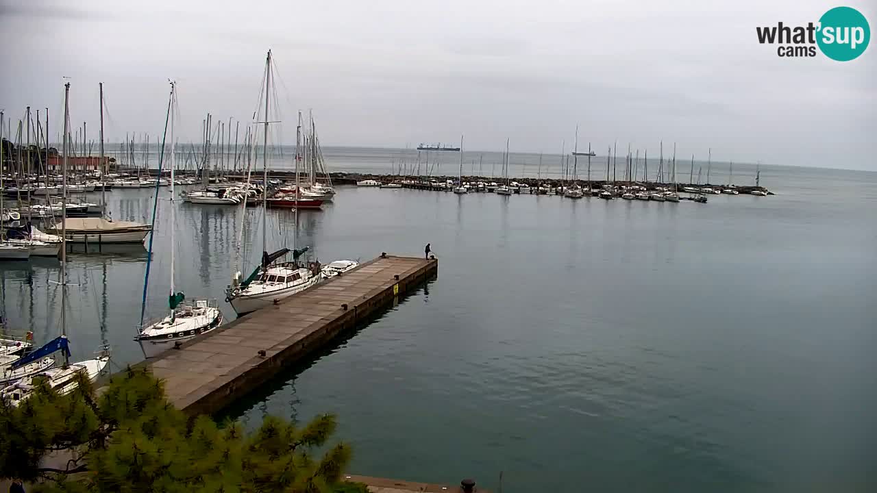 Webcam Sistiana – Marina and Bay Live View