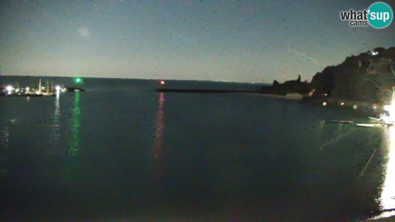 Webcam Sistiana – Marina and Bay Live View