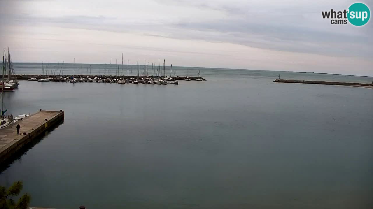 Webcam Sistiana – Marina and Bay Live View