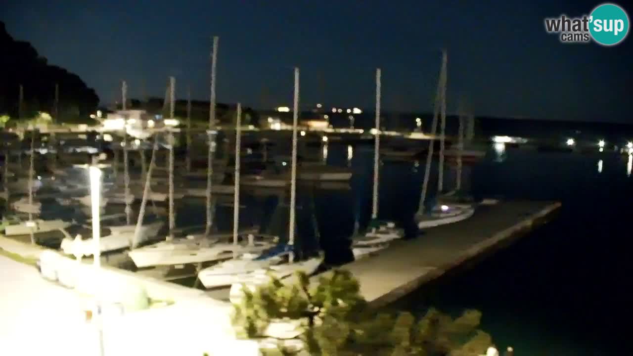 Webcam Sistiana – Vista sulla marina e sulla baia