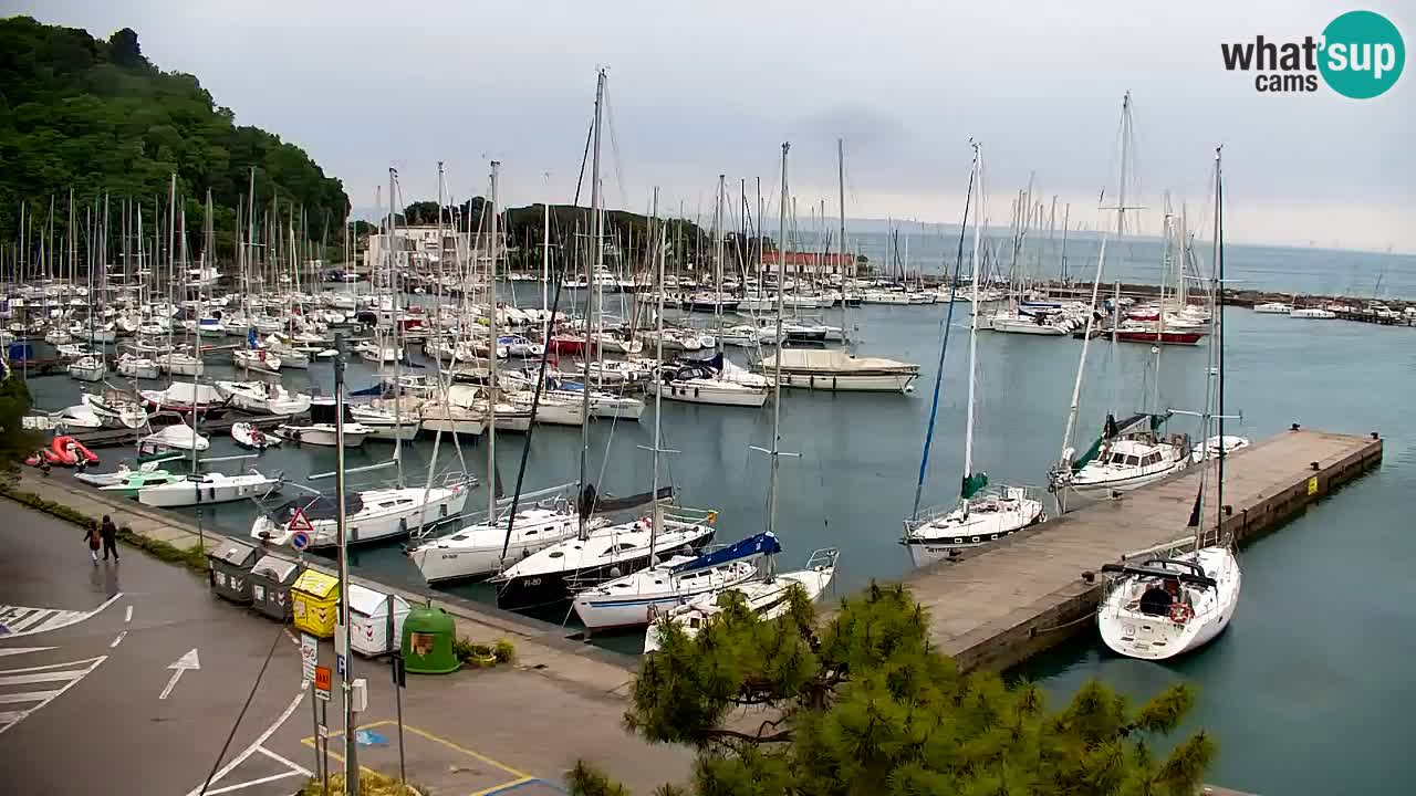 Webcam Sistiana – Pogled na marinu i zaljev