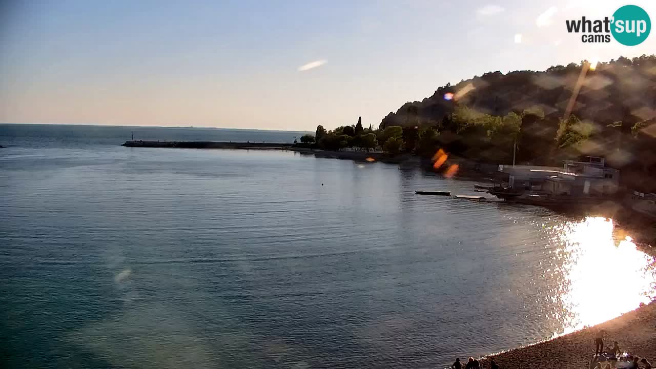 Webcam Sistiana – Marina and Bay Live View
