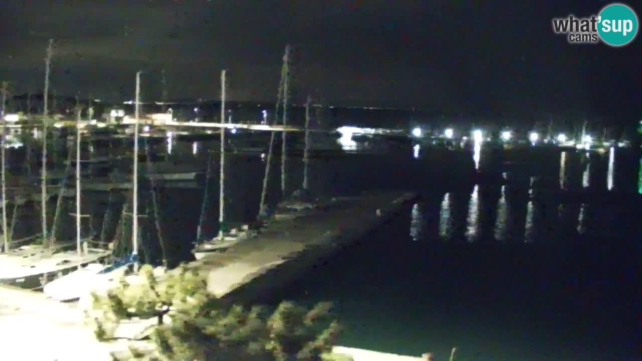 Webcam Sistiana – Marina and Bay Live View
