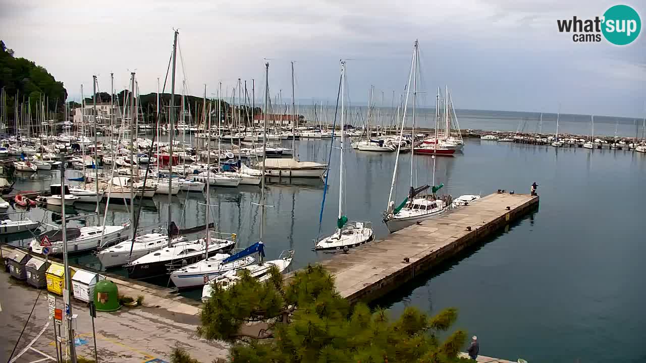 Spletna kamera Sesljan (Sistiana) – Pogled na marino in zaliv