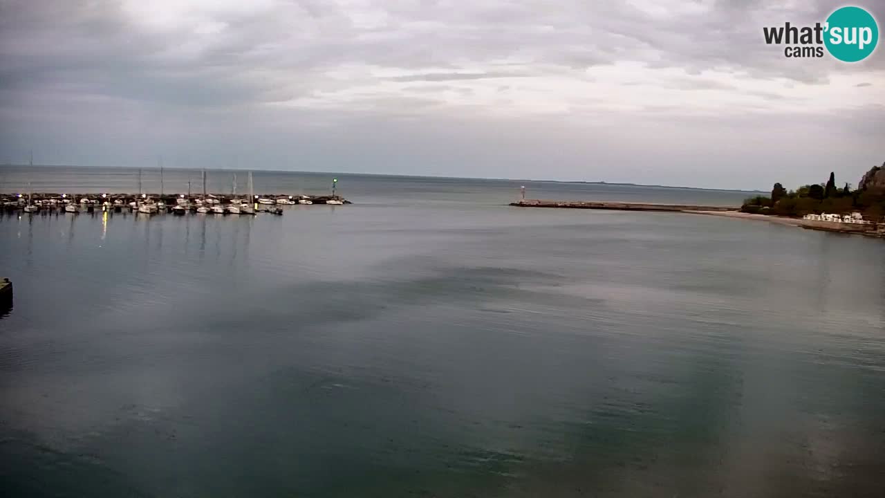 Webcam Sistiana – Pogled na marinu i zaljev