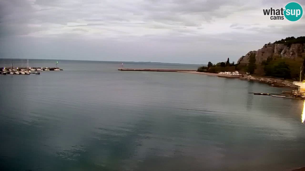 Webcam Sistiana – Marina and Bay Live View