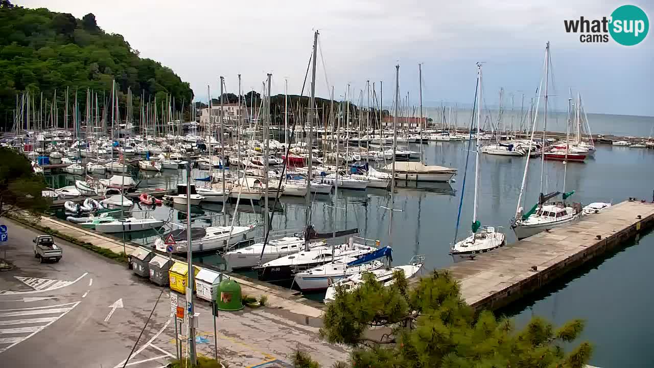 Webcam Sistiana – Vista sobre la marina y la bahía