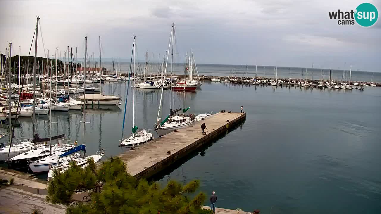 Webcam Sistiana – Vista sobre la marina y la bahía
