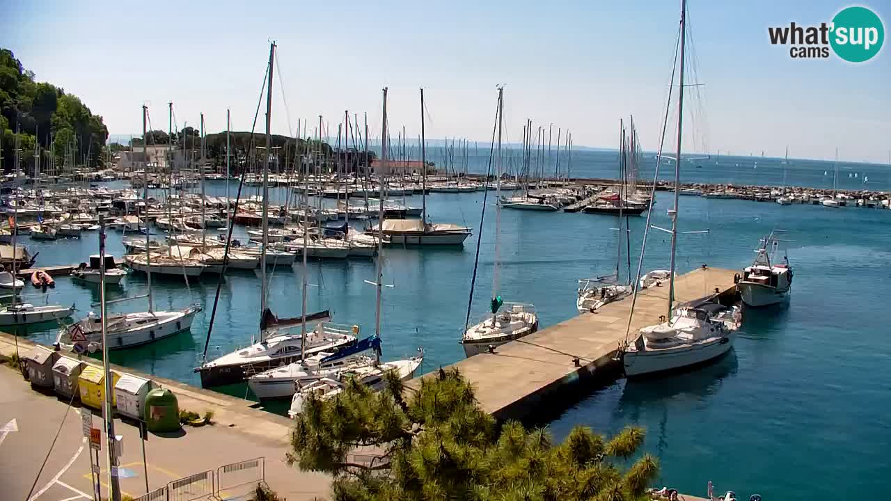Webcam Sistiana – Vista sulla marina e sulla baia