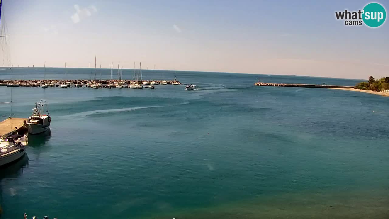Webcam Sistiana – Pogled na marinu i zaljev