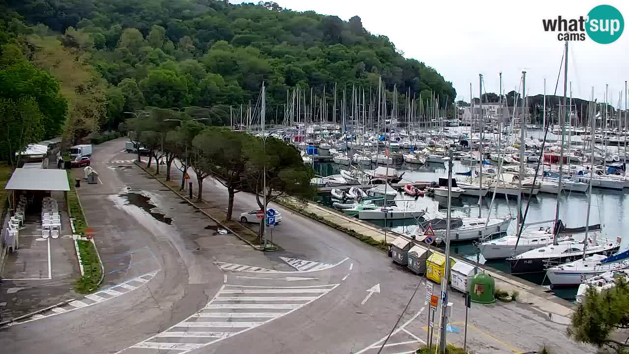 Webcam Sistiana – Marina and Bay Live View