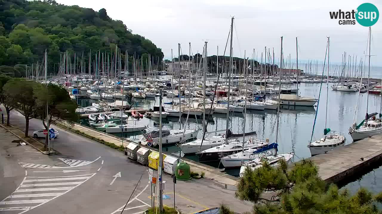 Webcam Sistiana – Vue sur la marina et la baie