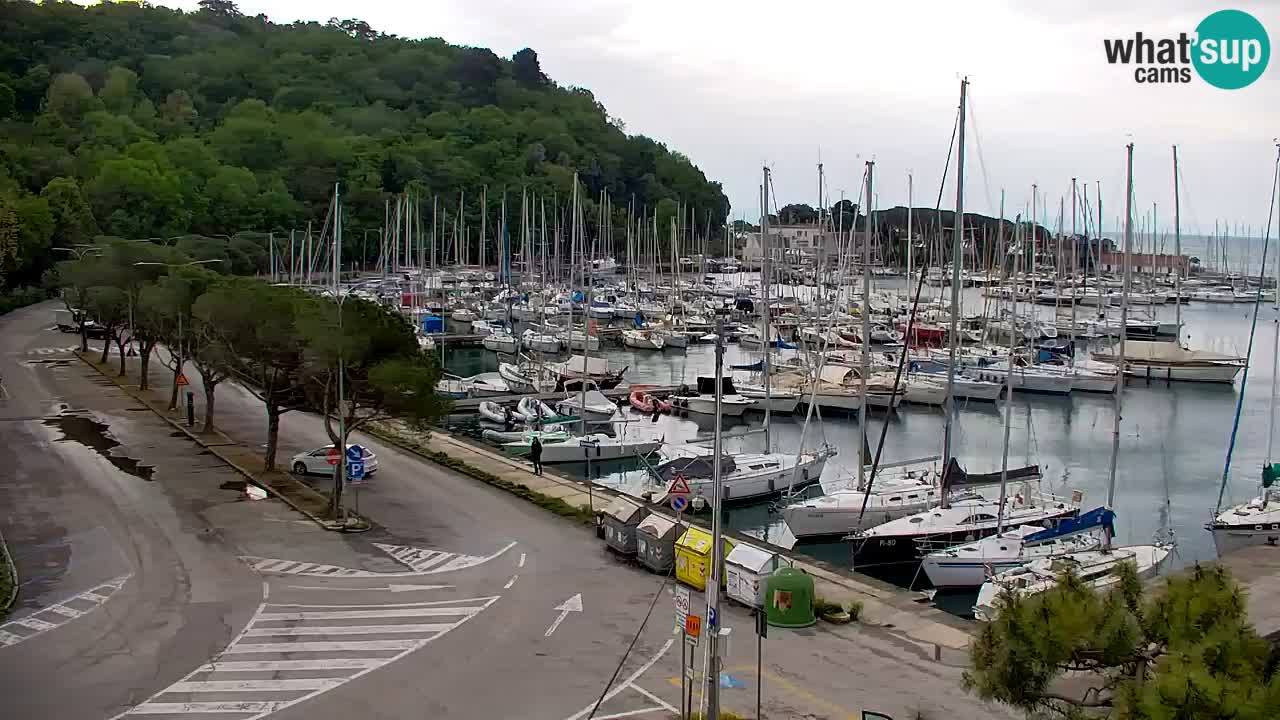 Webcam Sistiana – Marina and Bay Live View