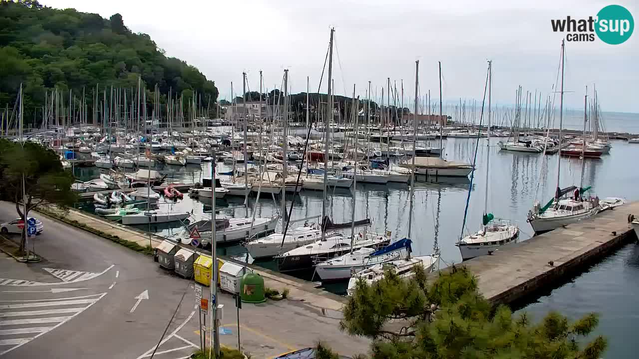 Webcam Sistiana – Blick auf Marina und Bucht