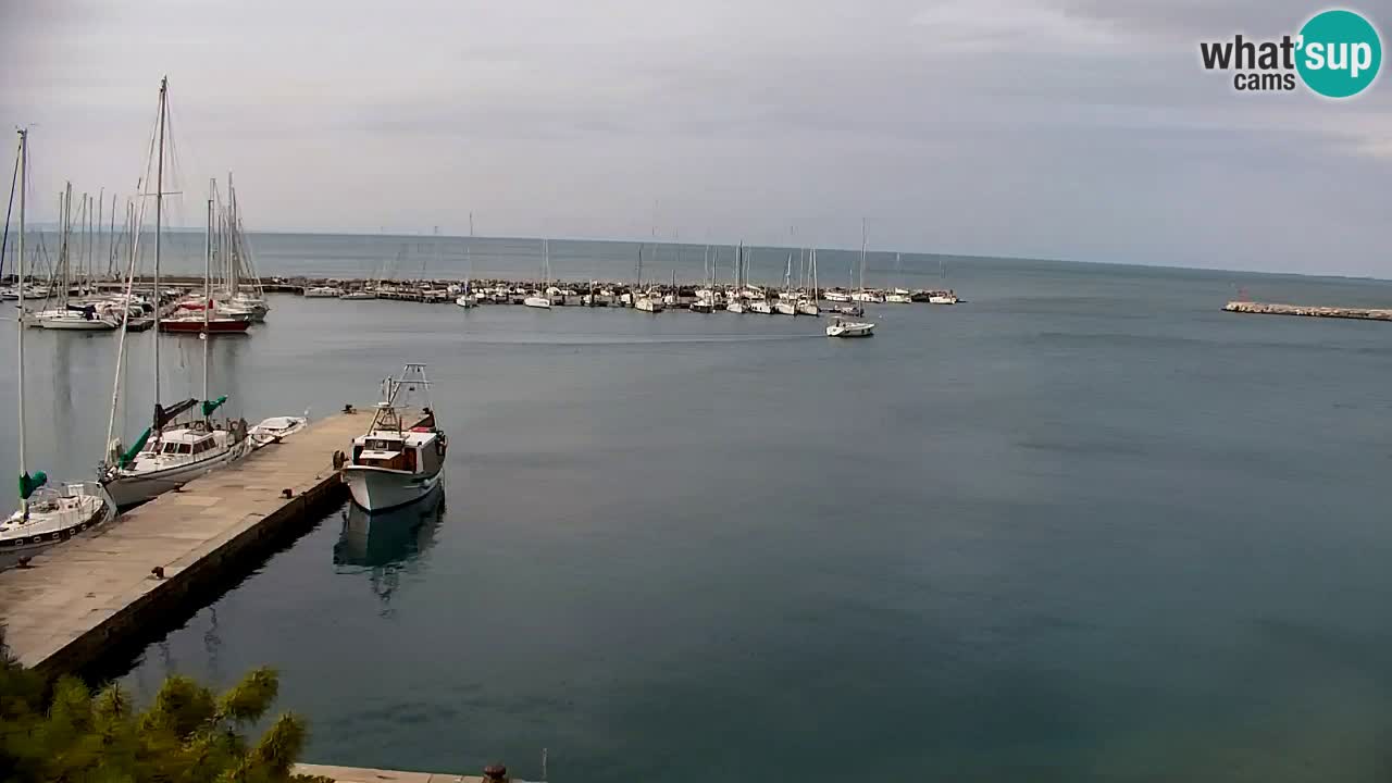 Webcam Sistiana – Blick auf Marina und Bucht