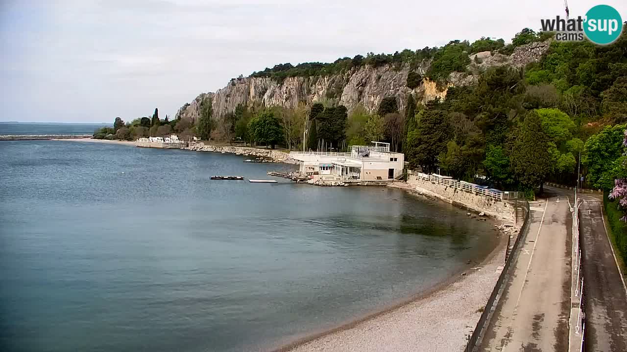 Webcam Sistiana – Pogled na marinu i zaljev