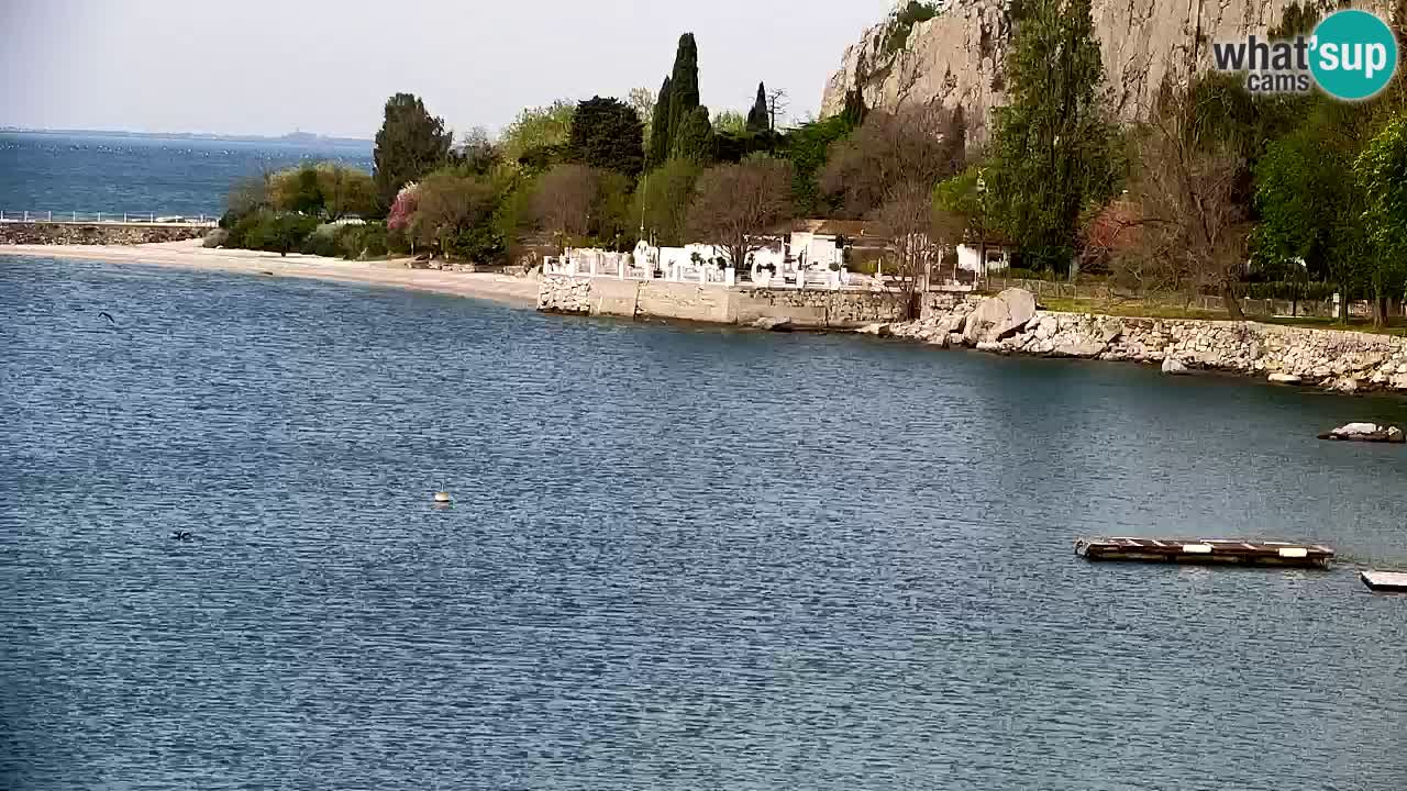 Webcam Sistiana – Vista sulla marina e sulla baia