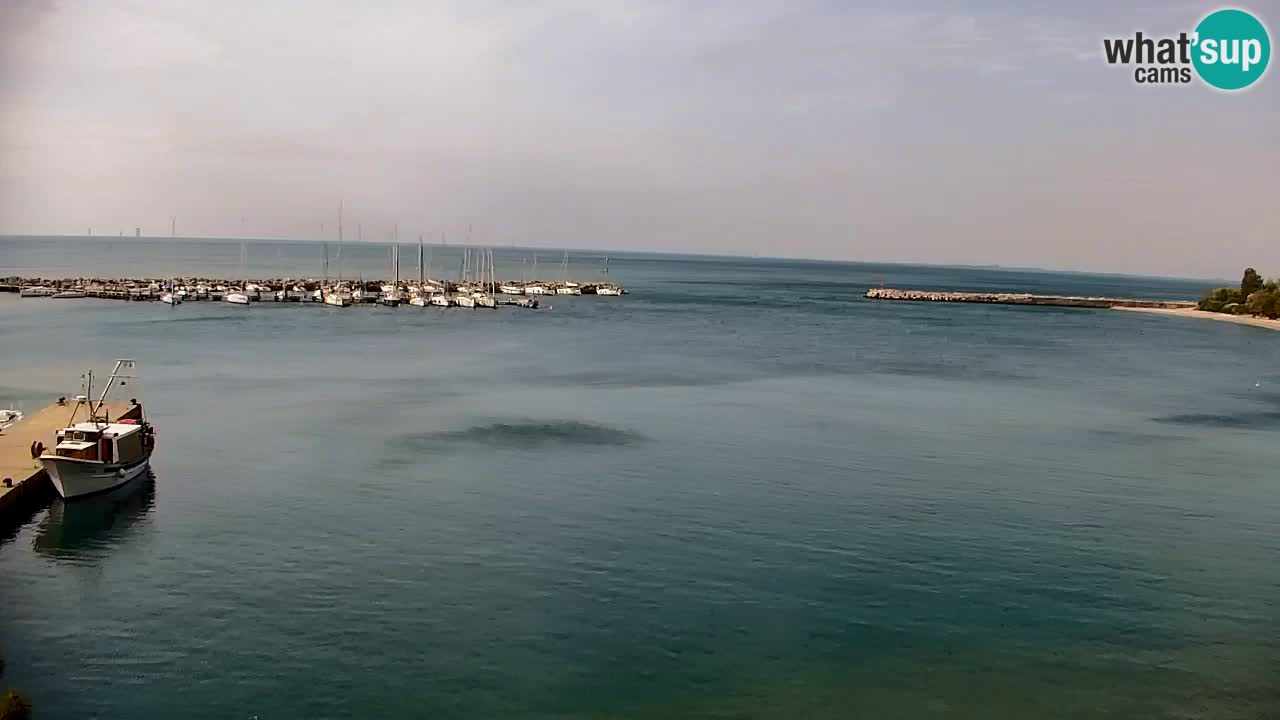 Webcam Sistiana – Pogled na marinu i zaljev