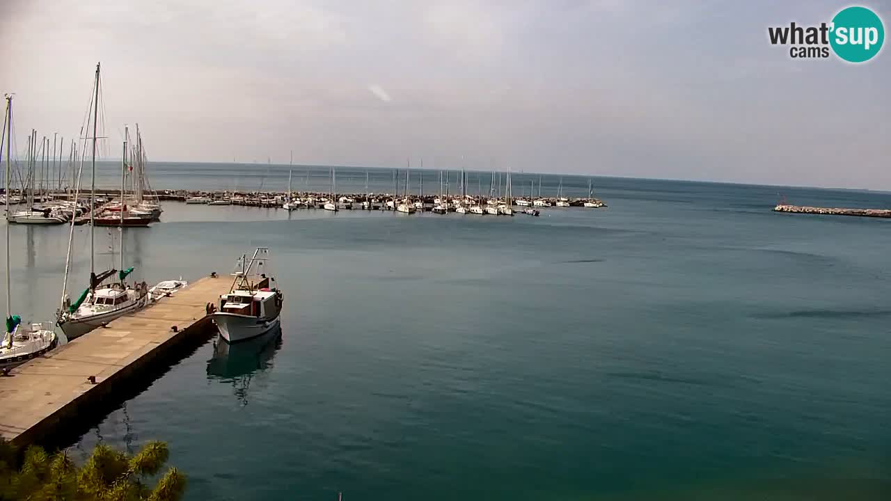 Webcam Sistiana – Vue sur la marina et la baie