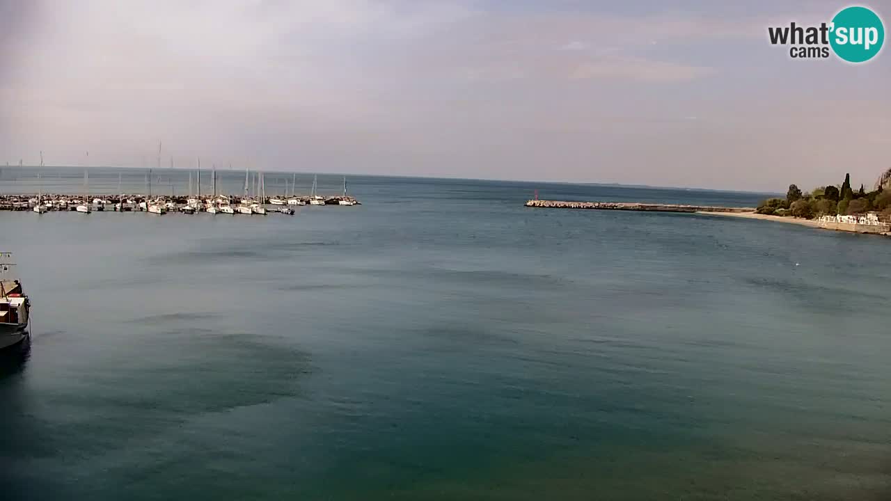 Webcam Sistiana – Vista sobre la marina y la bahía