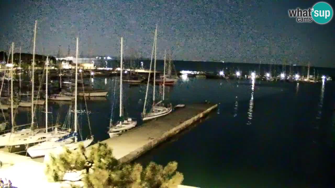 Webcam Sistiana – Marina and Bay Live View