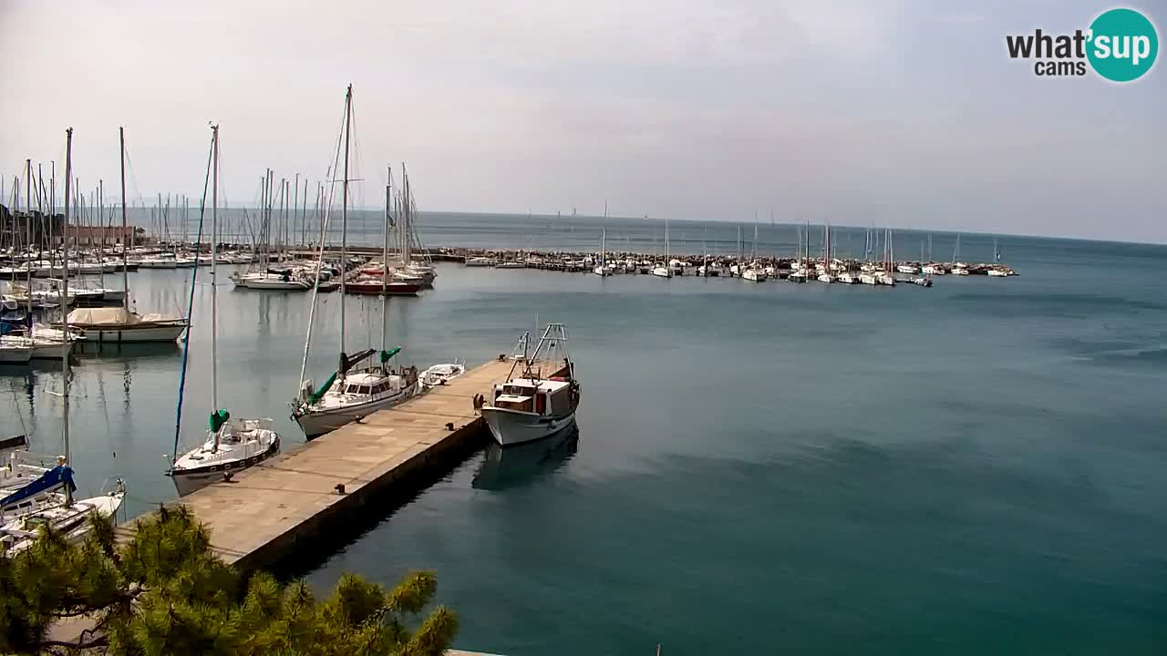 Webcam Sistiana – Marina and Bay Live View