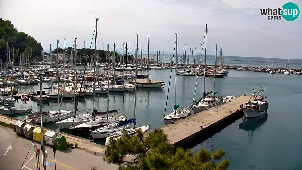 Spletna kamera Sesljan (Sistiana) – Pogled na marino in zaliv