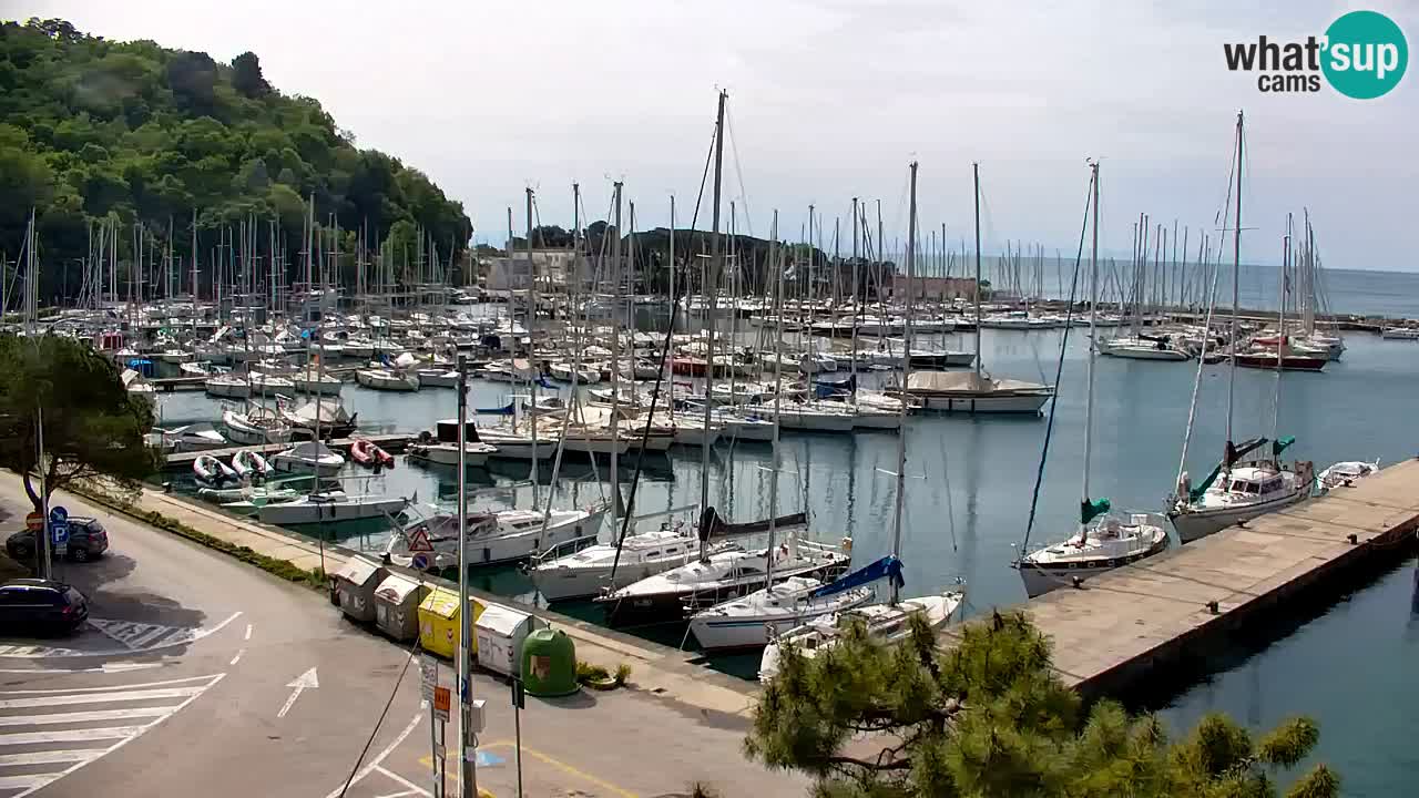 Spletna kamera Sesljan (Sistiana) – Pogled na marino in zaliv