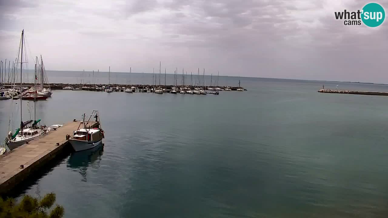 Spletna kamera Sesljan (Sistiana) – Pogled na marino in zaliv