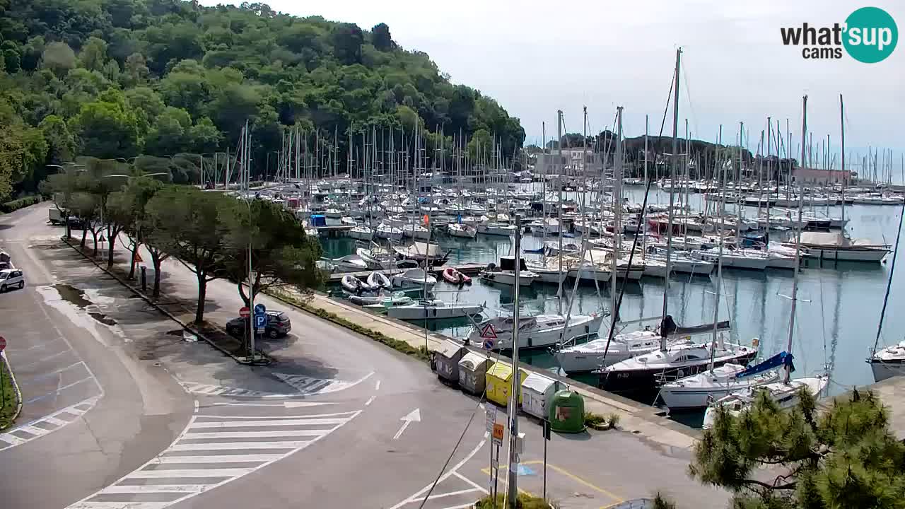 Webcam Sistiana – Pogled na marinu i zaljev