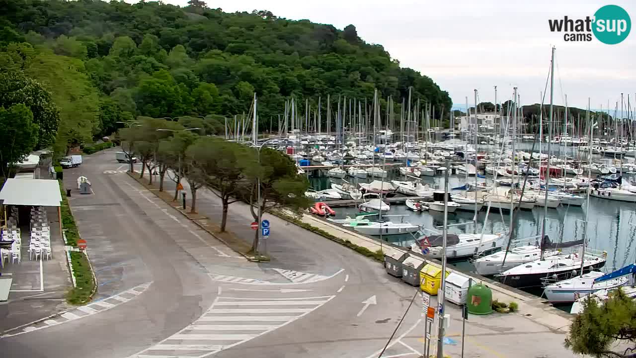 Webcam Sistiana – Pogled na marinu i zaljev