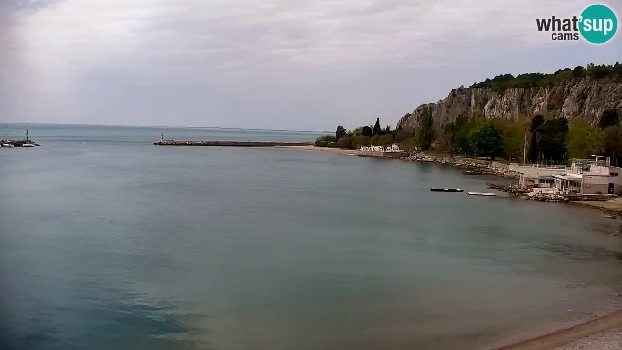 Webcam Sistiana – Pogled na marinu i zaljev