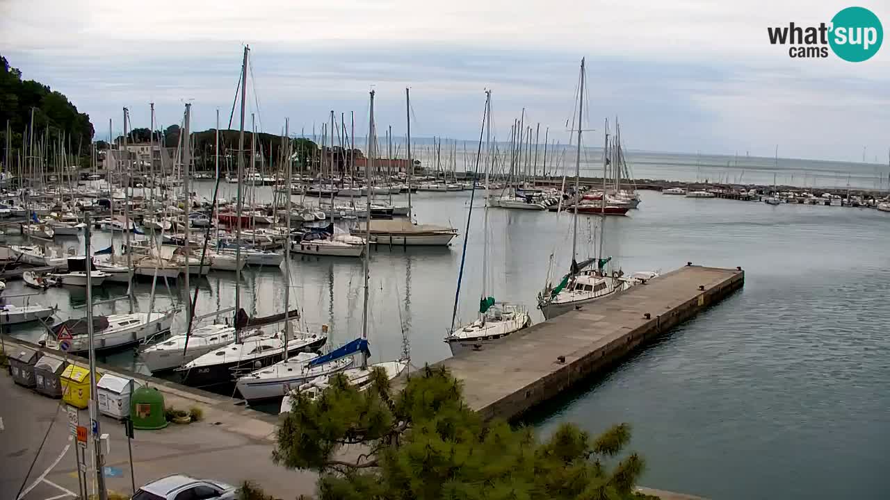 Webcam Sistiana – Blick auf Marina und Bucht