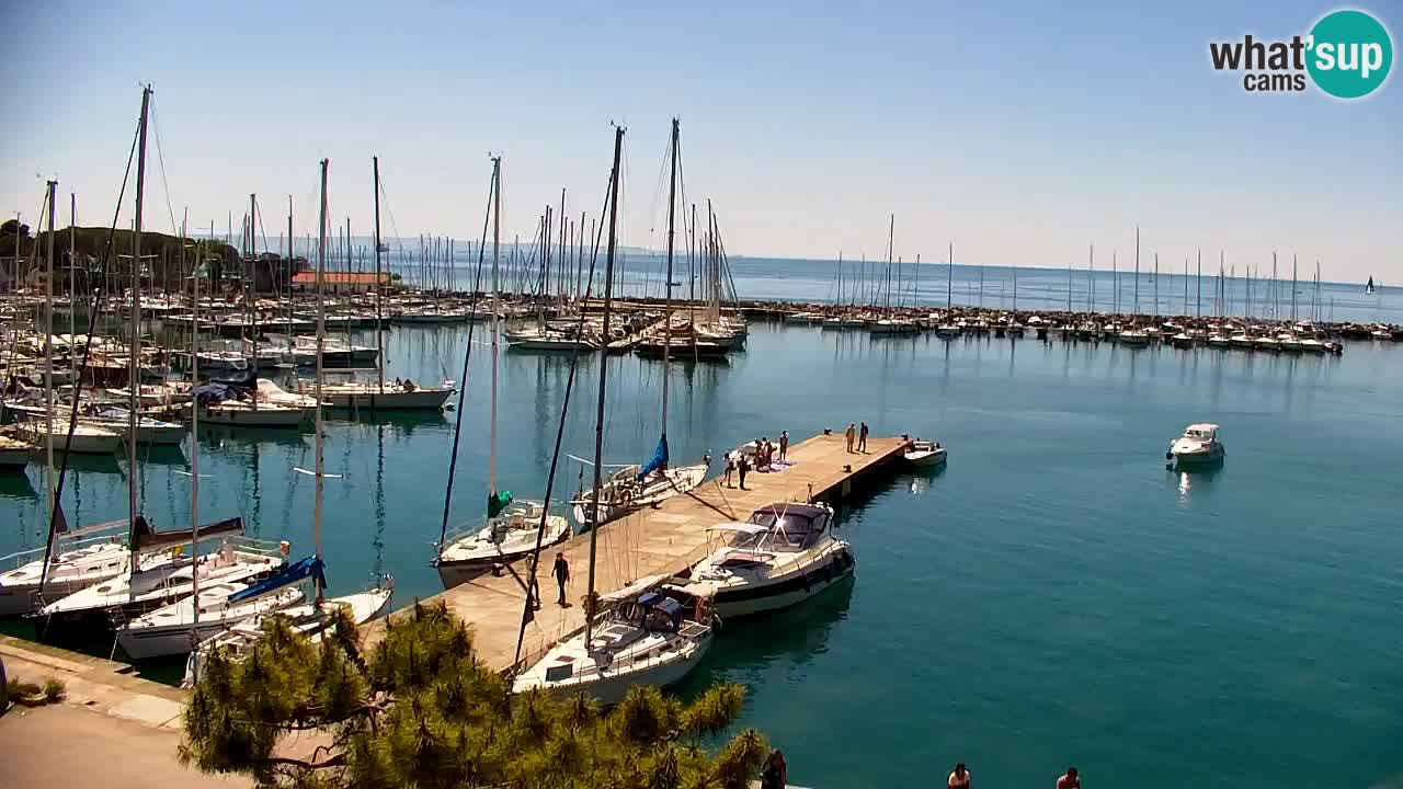 Webcam Sistiana – Blick auf Marina und Bucht