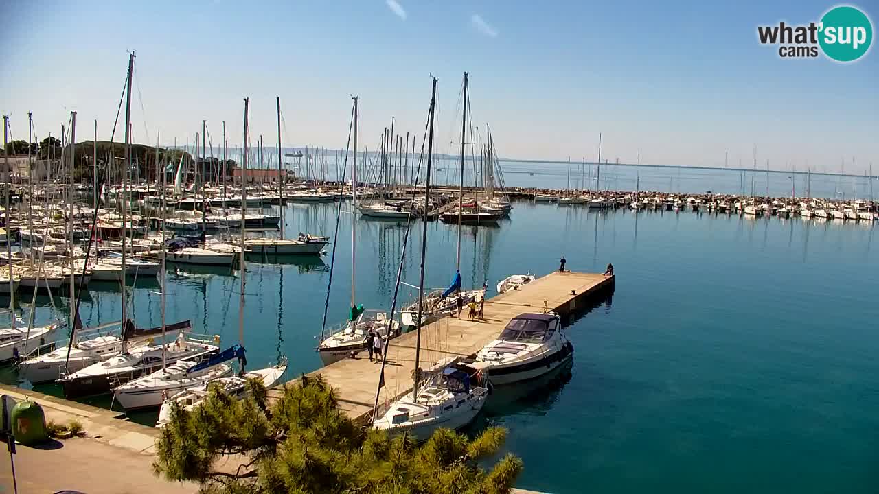 Webcam Sistiana – Marina and Bay Live View