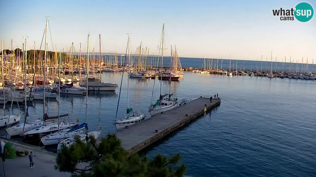 Webcam Sistiana – Vista sobre la marina y la bahía