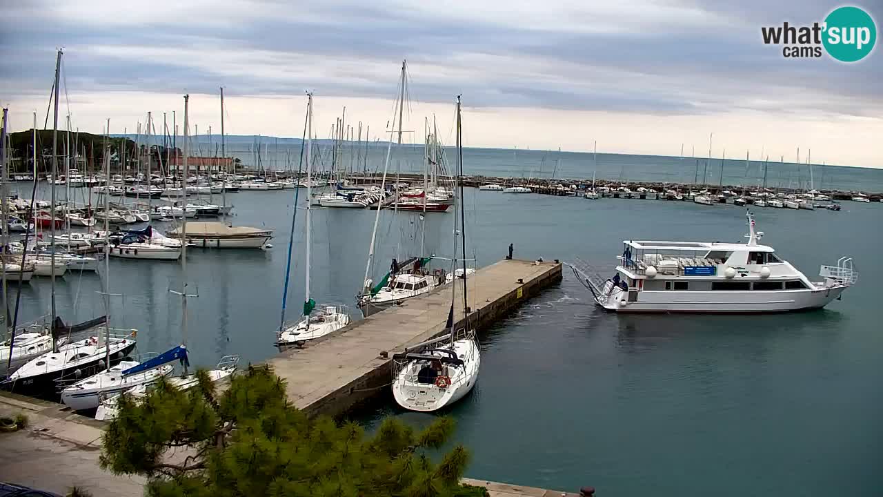 Webcam Sistiana – Vue sur la marina et la baie