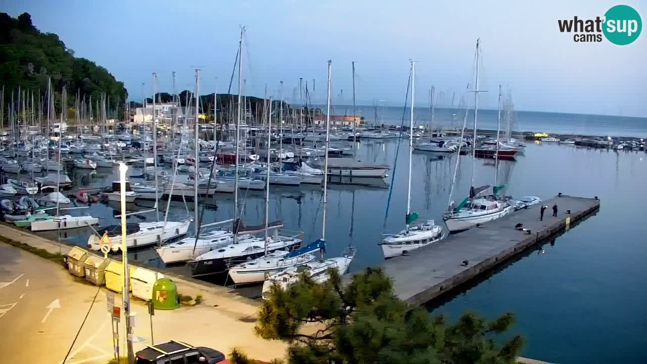 Webcam Sistiana – Vista sulla marina e sulla baia
