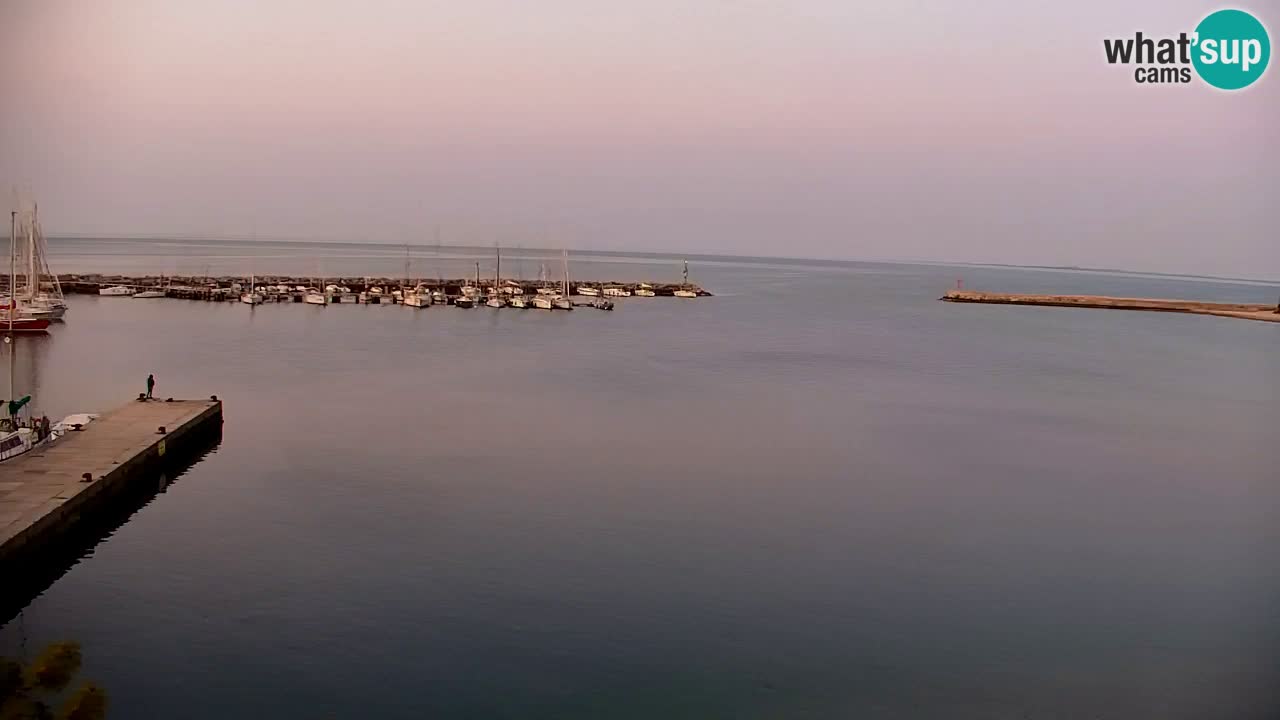 Spletna kamera Sesljan (Sistiana) – Pogled na marino in zaliv