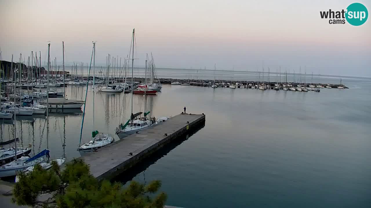 Webcam Sistiana – Marina and Bay Live View