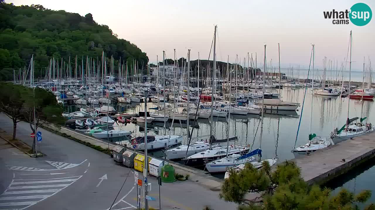 Webcam Sistiana – Marina and Bay Live View