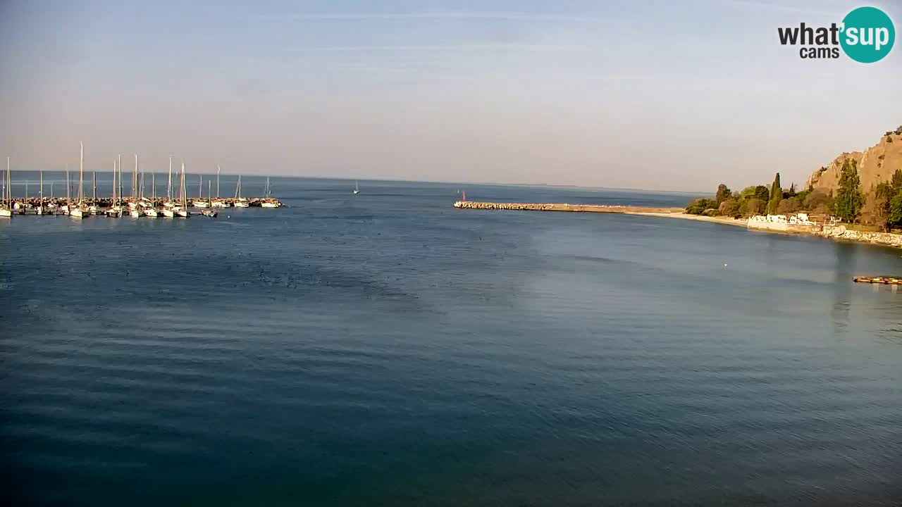 Webcam Sistiana – Blick auf Marina und Bucht