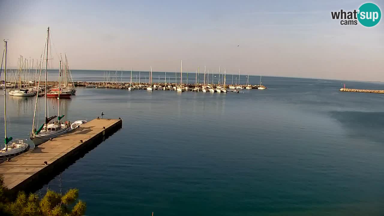 Webcam Sistiana – Vue sur la marina et la baie