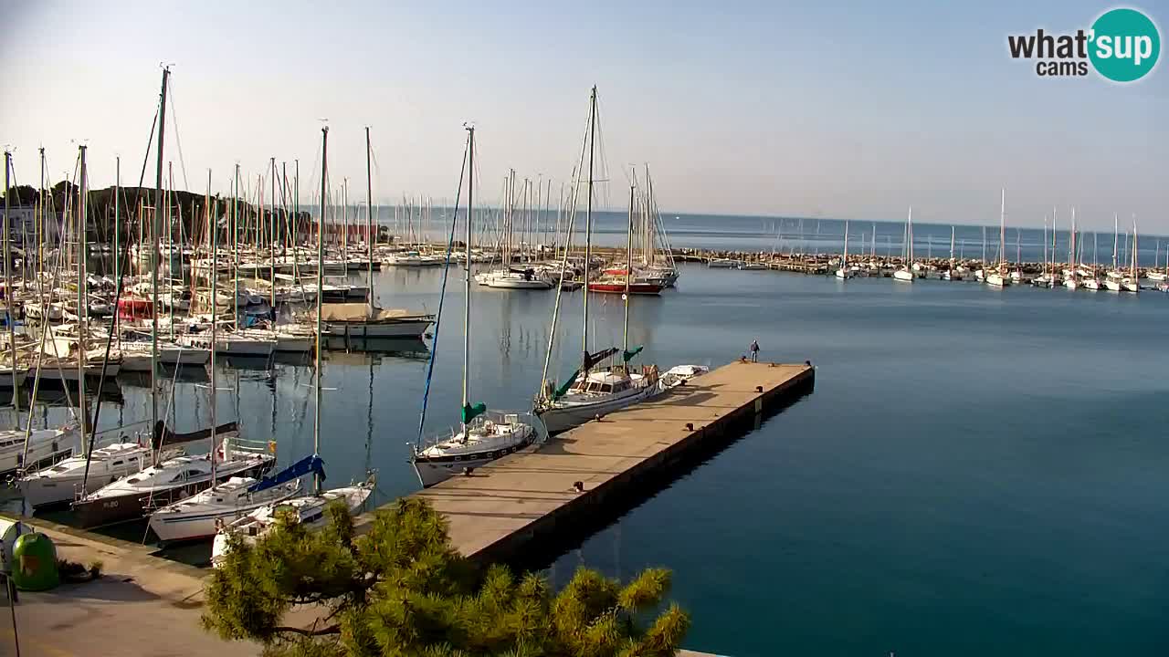 Webcam Sistiana – Marina and Bay Live View