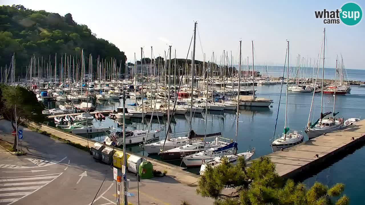 Spletna kamera Sesljan (Sistiana) – Pogled na marino in zaliv