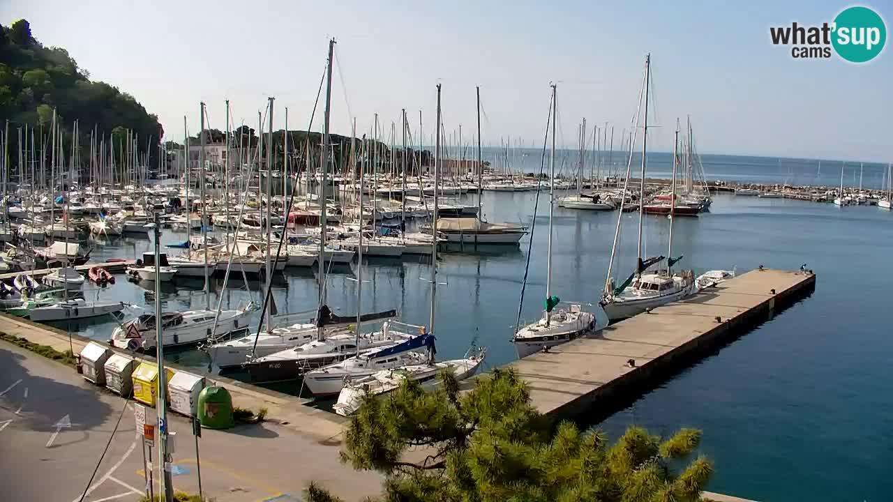 Webcam Sistiana – Vue sur la marina et la baie