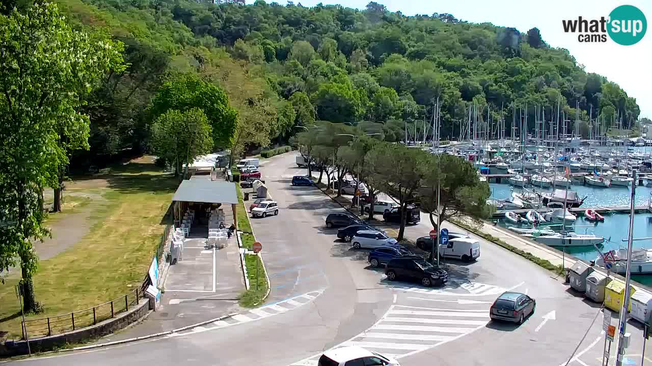 Spletna kamera Sesljan (Sistiana) – Pogled na marino in zaliv