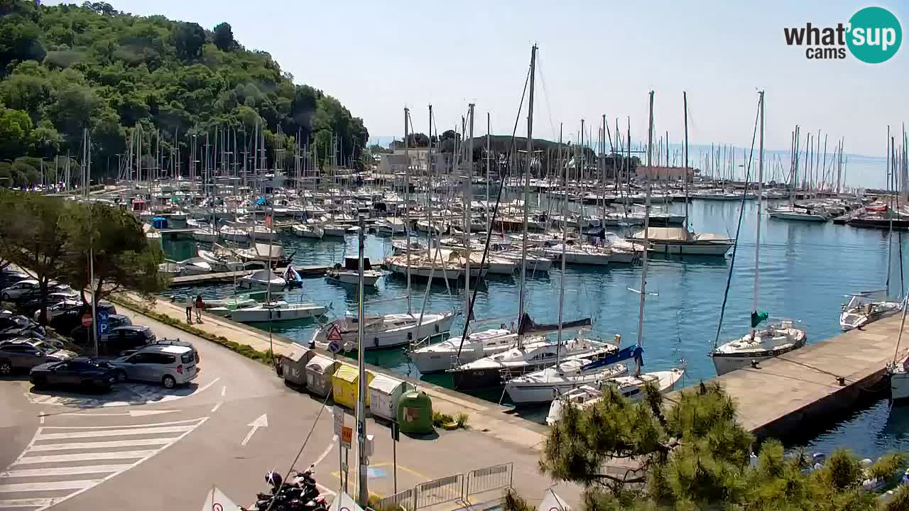 Webcam Sistiana – Marina and Bay Live View